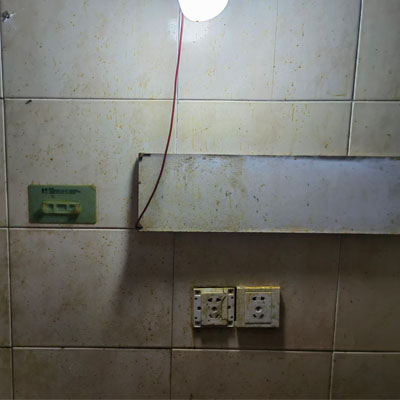 清洁后,宠物在干净的地板上玩耍