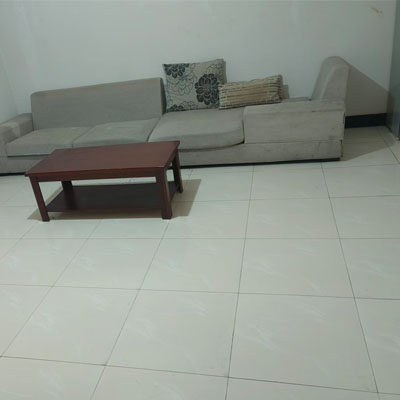 保洁员在吸除沙发上的宠物毛发